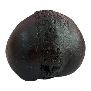 Laxmi Shaligram Stone – Small Size | Natural | Nepal Shaligram
