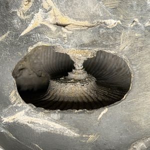 Laxmi Narayan Shaligram Stone – Medium Size Natural Nepal Shaligram