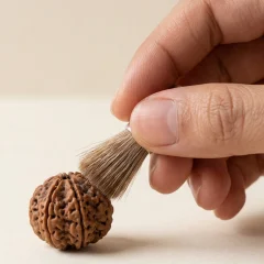 clean rudraksha with brush
